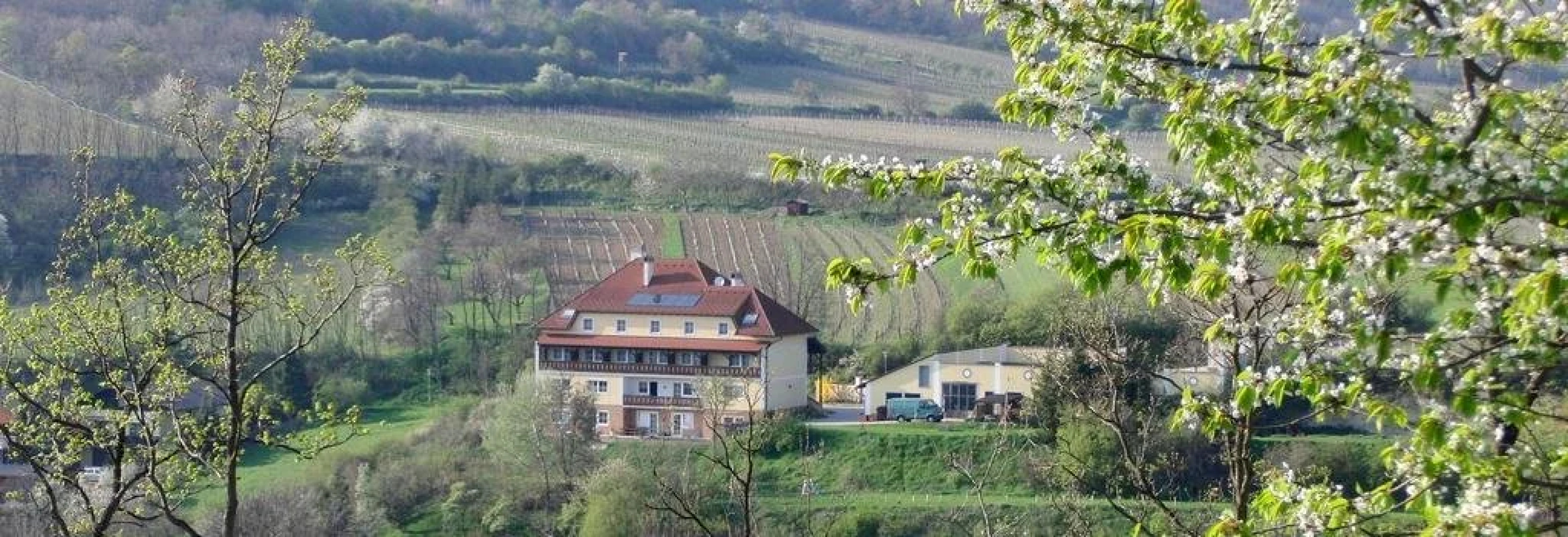 Pension Rudi - Weingut Kellner