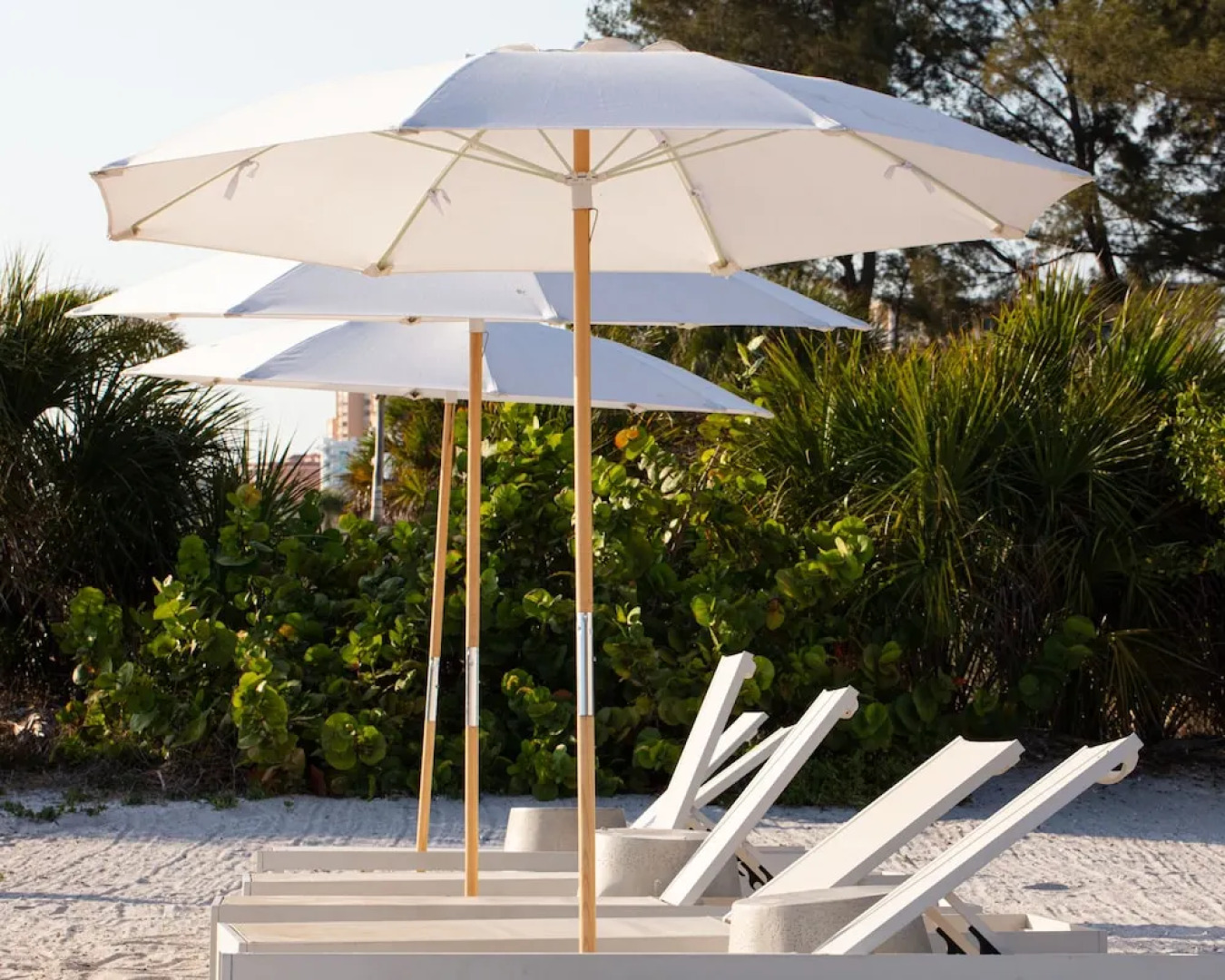 The Molloy - A Boutique Beach Resort