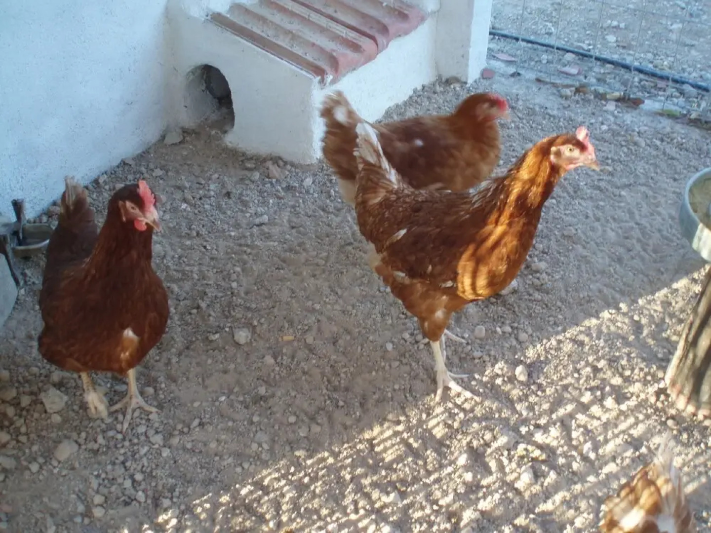 Casa Rurales Ventaseca