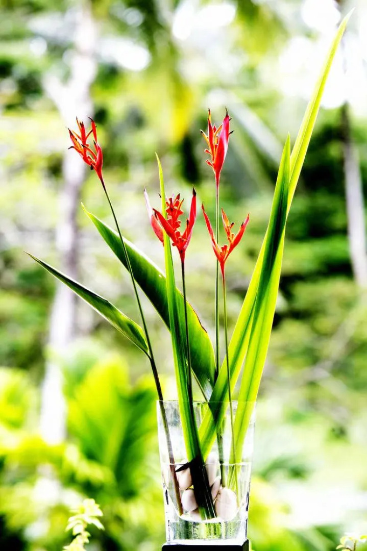 Pearl South Pacific Resort