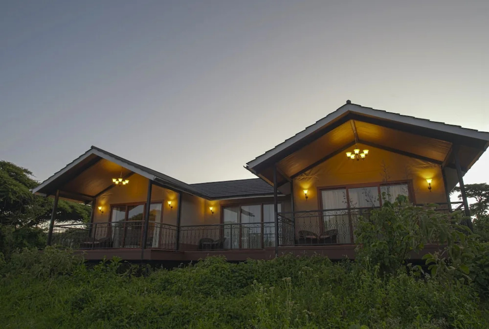 Ngorongoro Lions Paw