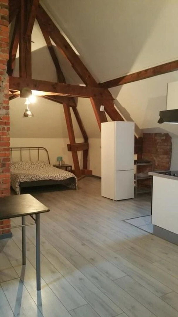 Apartment With one Bedroom in Beaugency, With Wifi