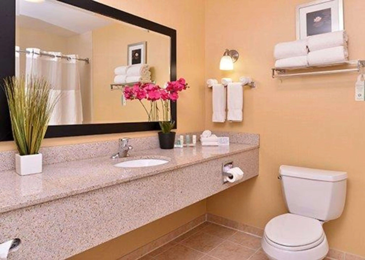 Comfort Suites Urbana Champaign, University Area