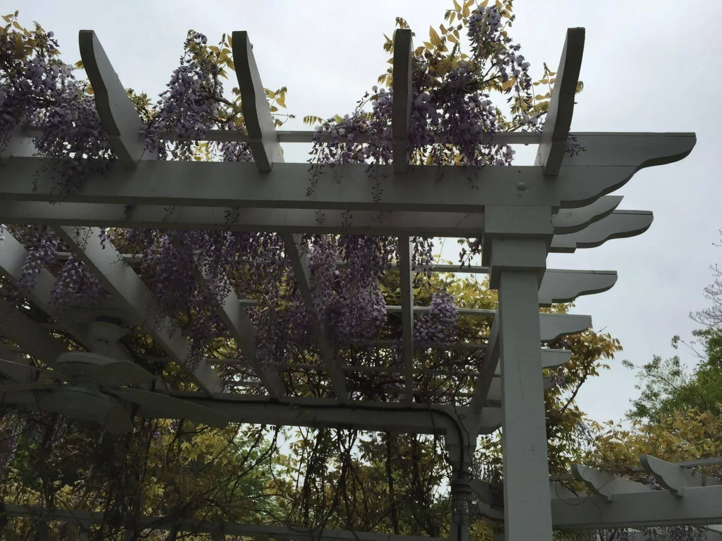 Quintessentials Bed & Breakfast & Spa