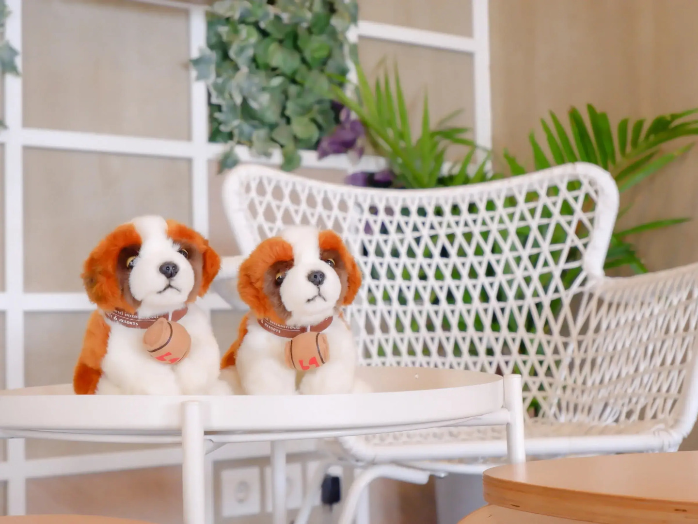 Swiss-Belexpress Cilegon