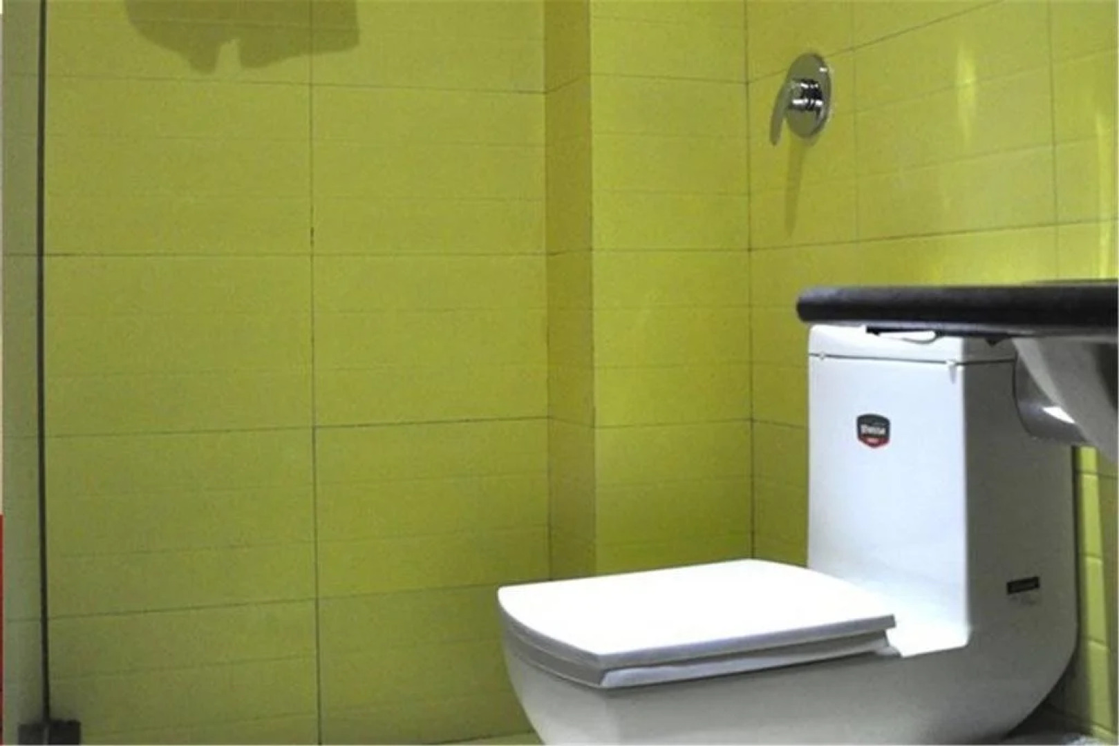 Harbin Shengfeng Business Hotel