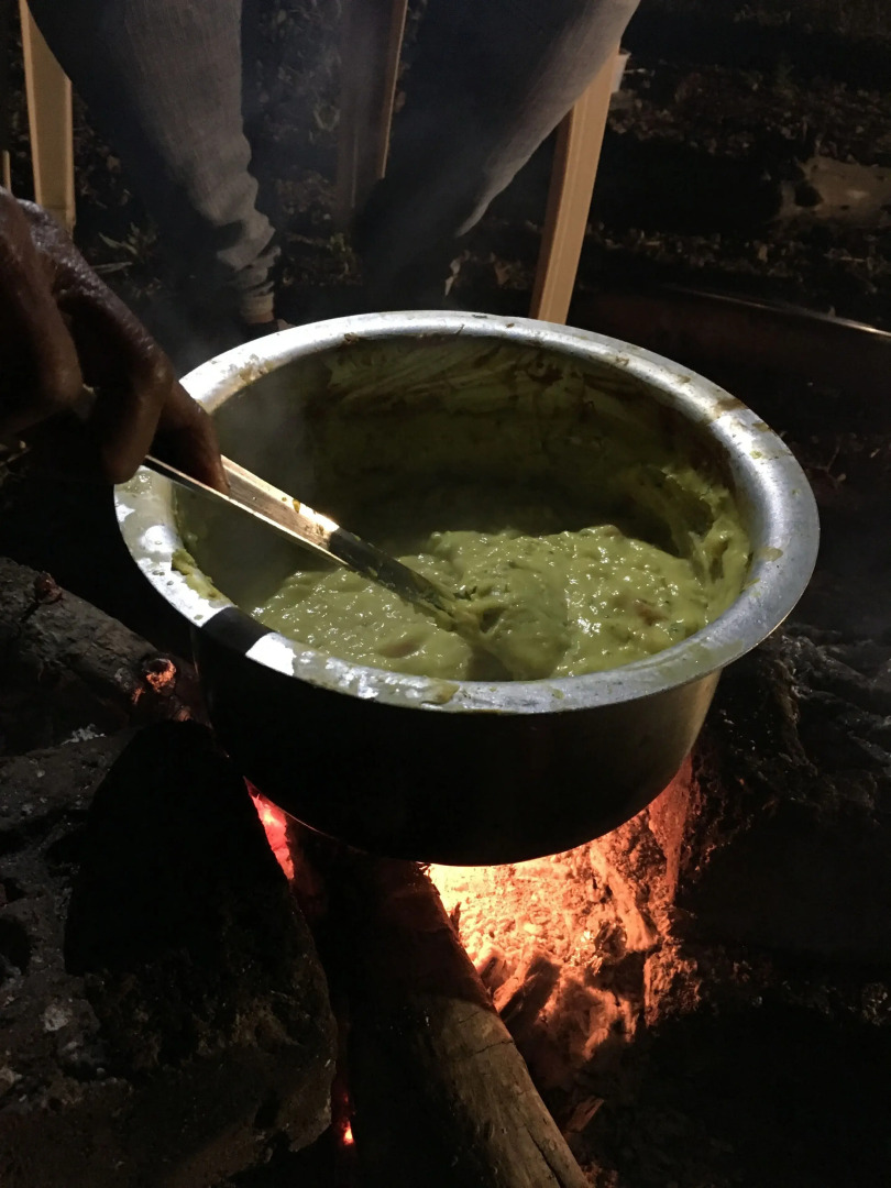 Canary Forest Camping