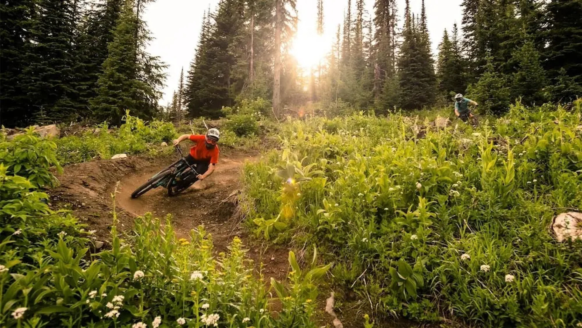 Woodhaven #32 By Bear Country