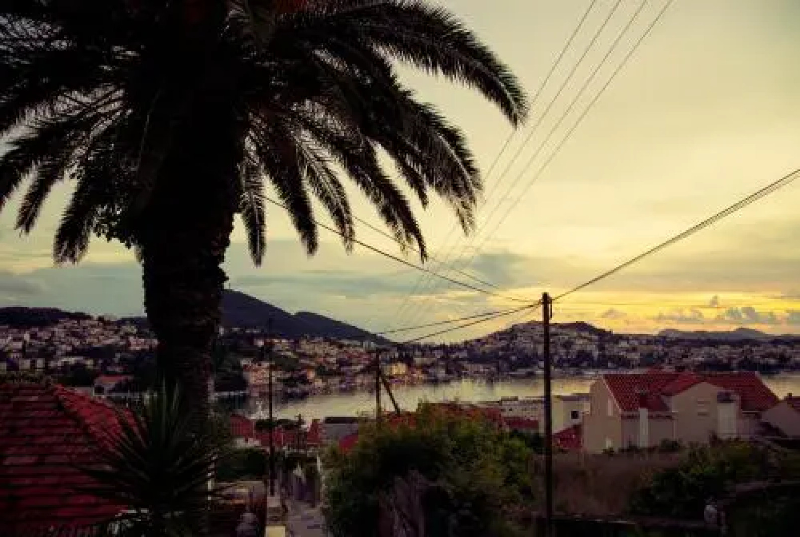 Apartments Dubrovnik Palm Tree Paradise