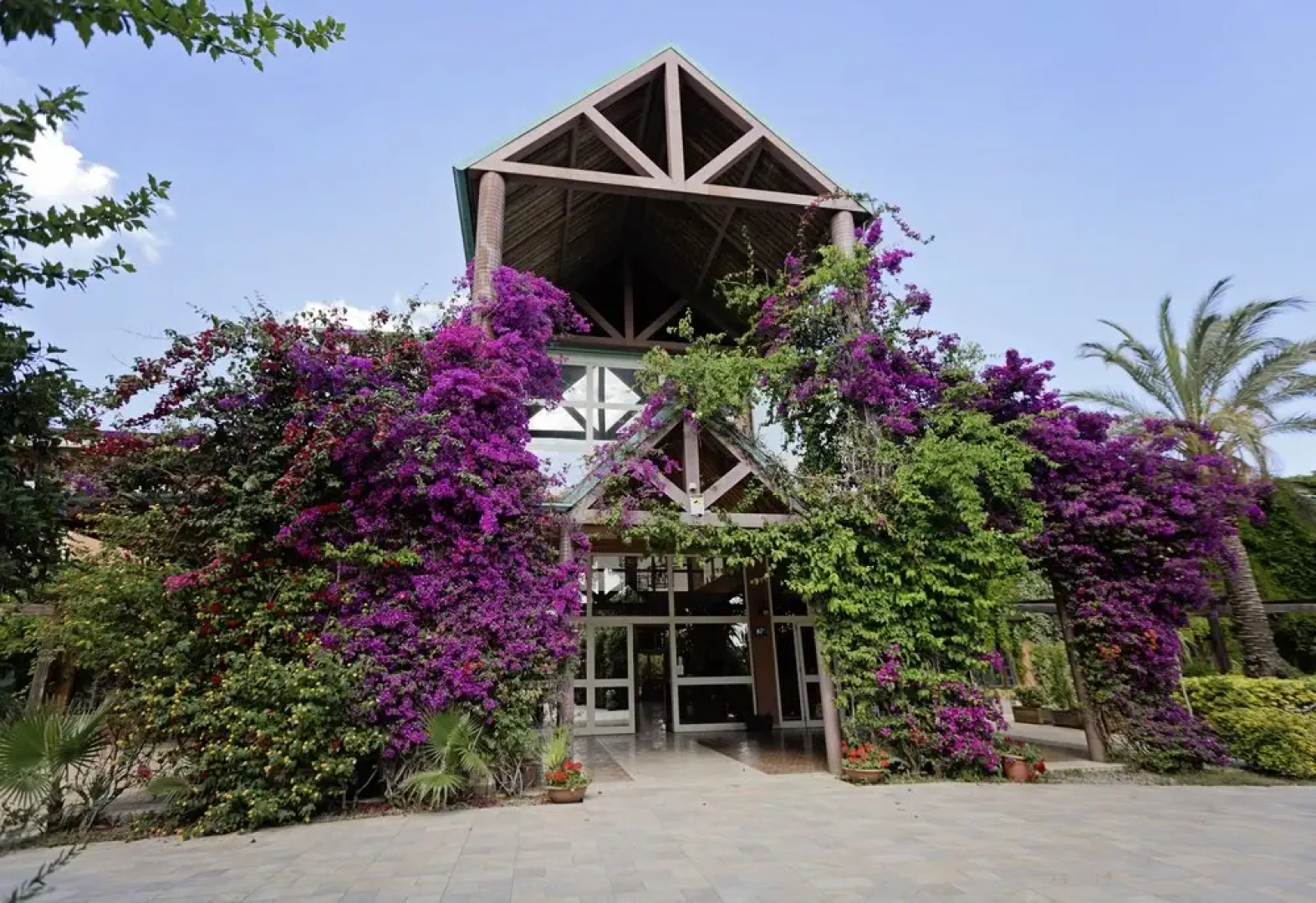 Minerva Club Resort & Golf