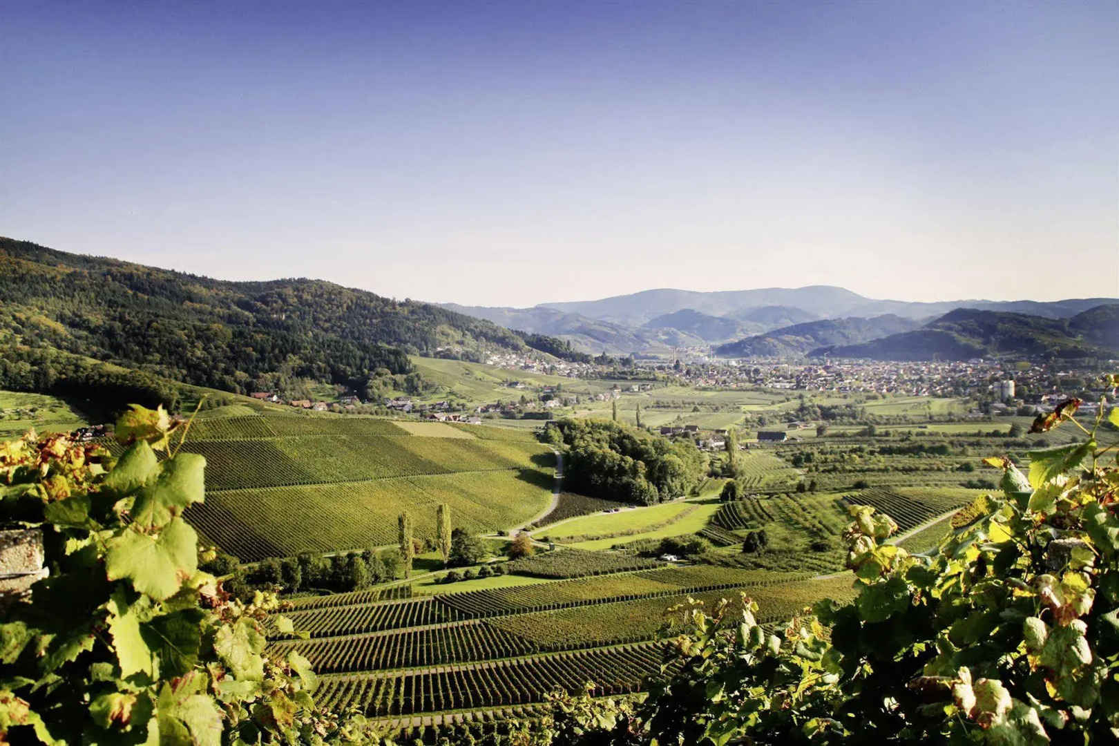 Pflugwirts Hotel und Gasthaus