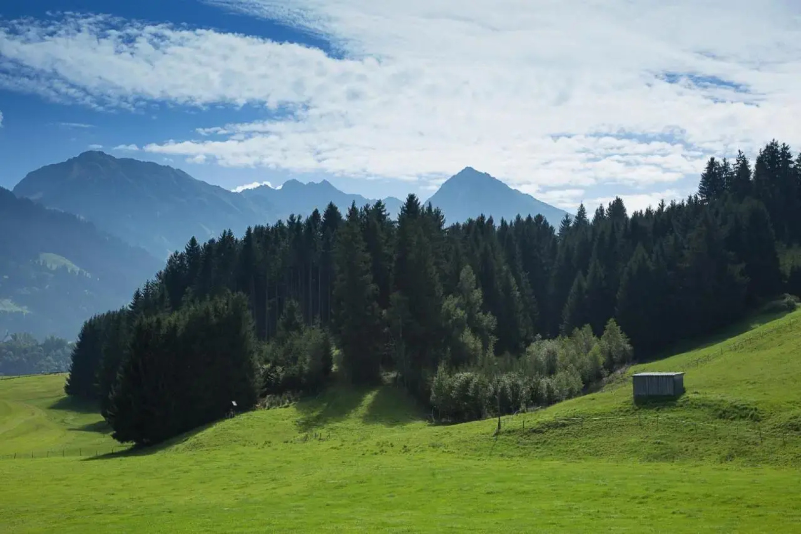 Allgäuer Ferienhof