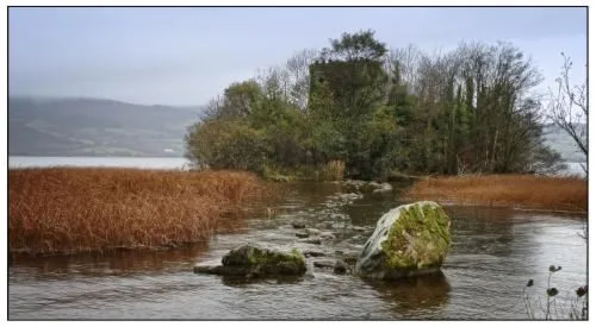 Willowbrook Bed & Breakfast