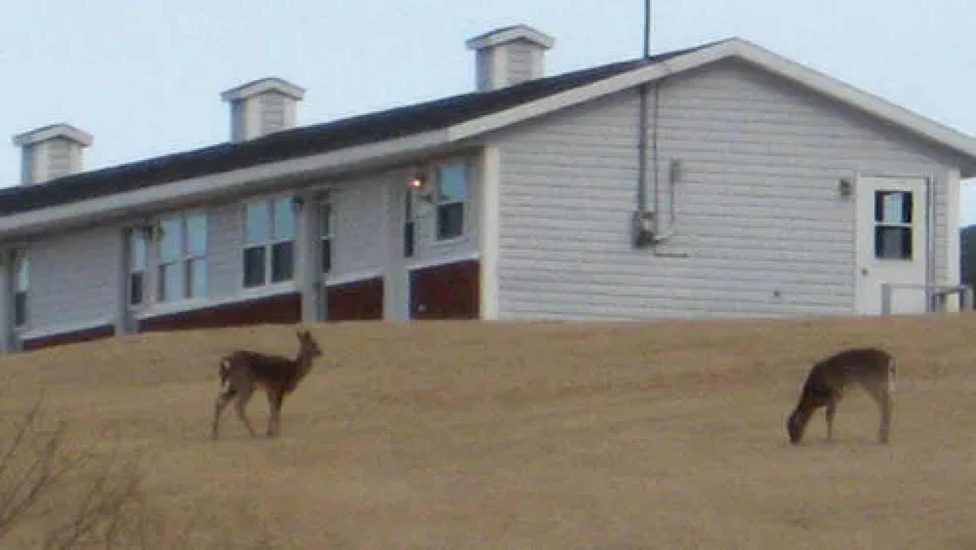 Burton's Sunset Oasis Motel