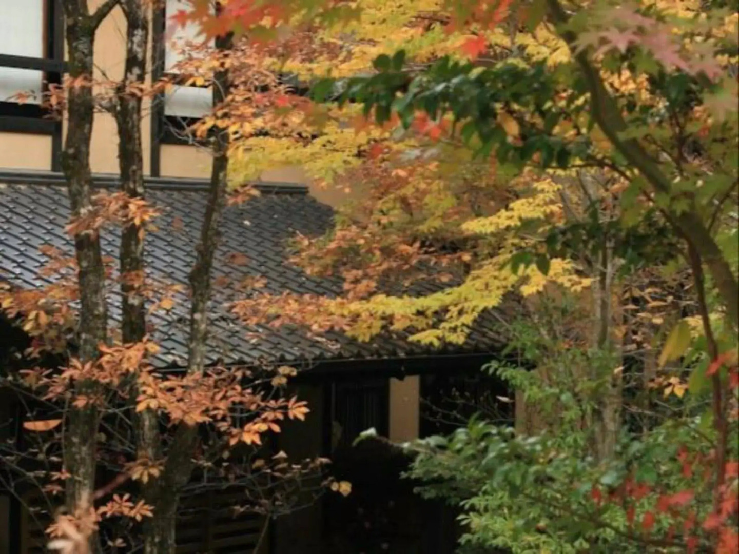 Kurokawa Onsen Ryokan Wakaba