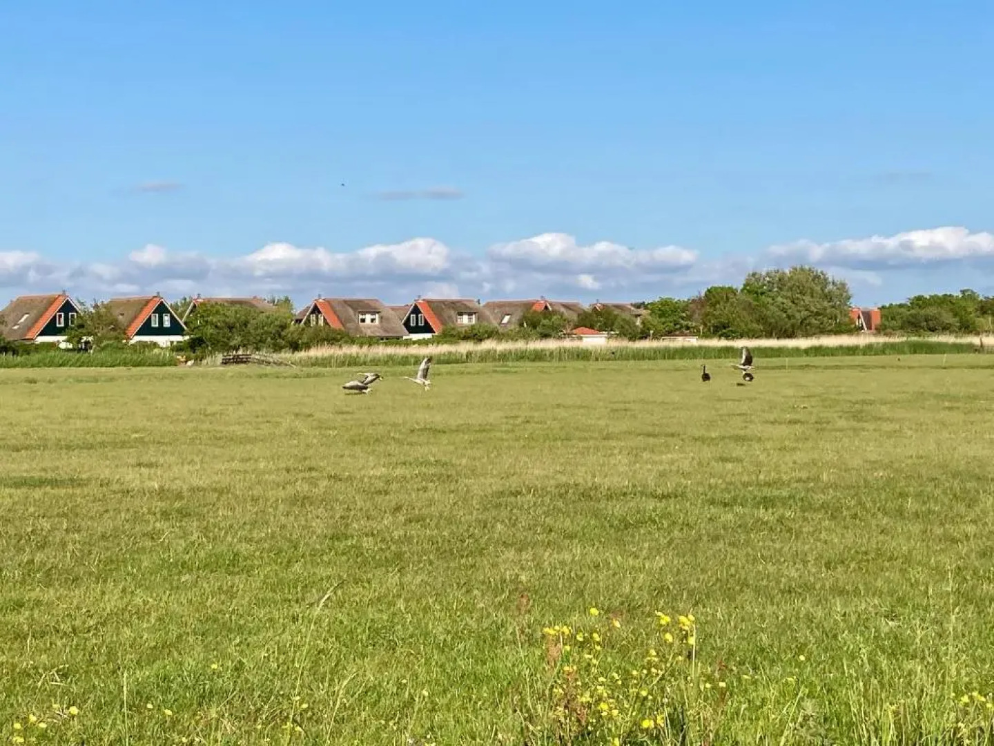 Villa Buitenplaats 47