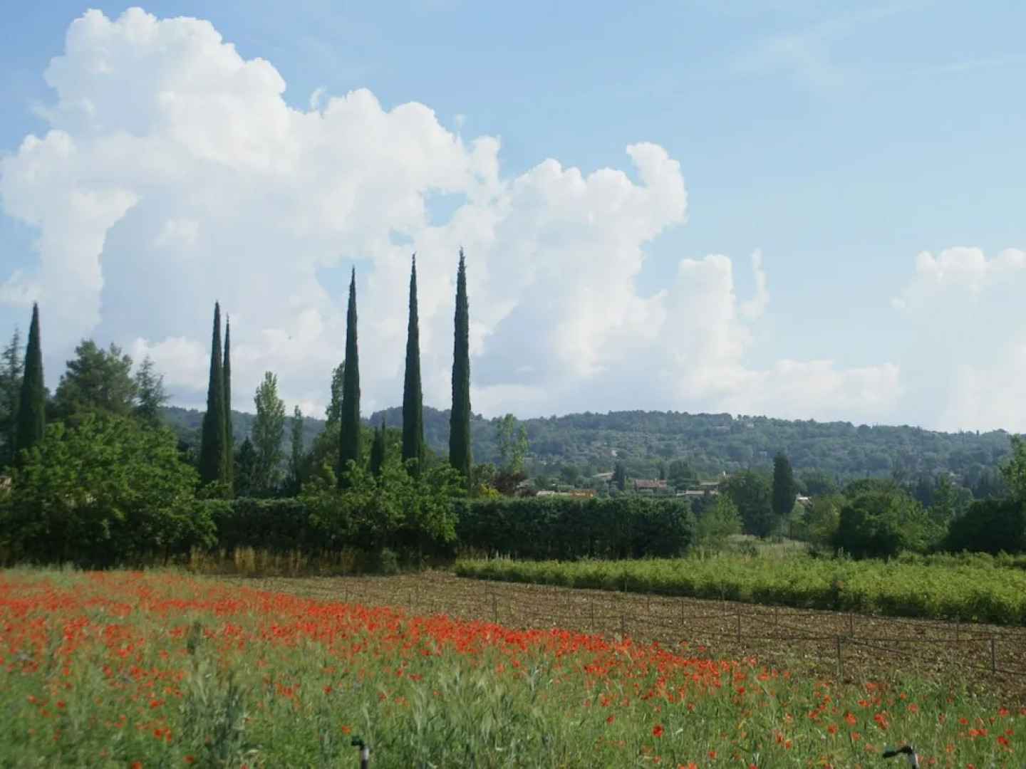Traditional Holiday Home with Swimming Pool in Fayence