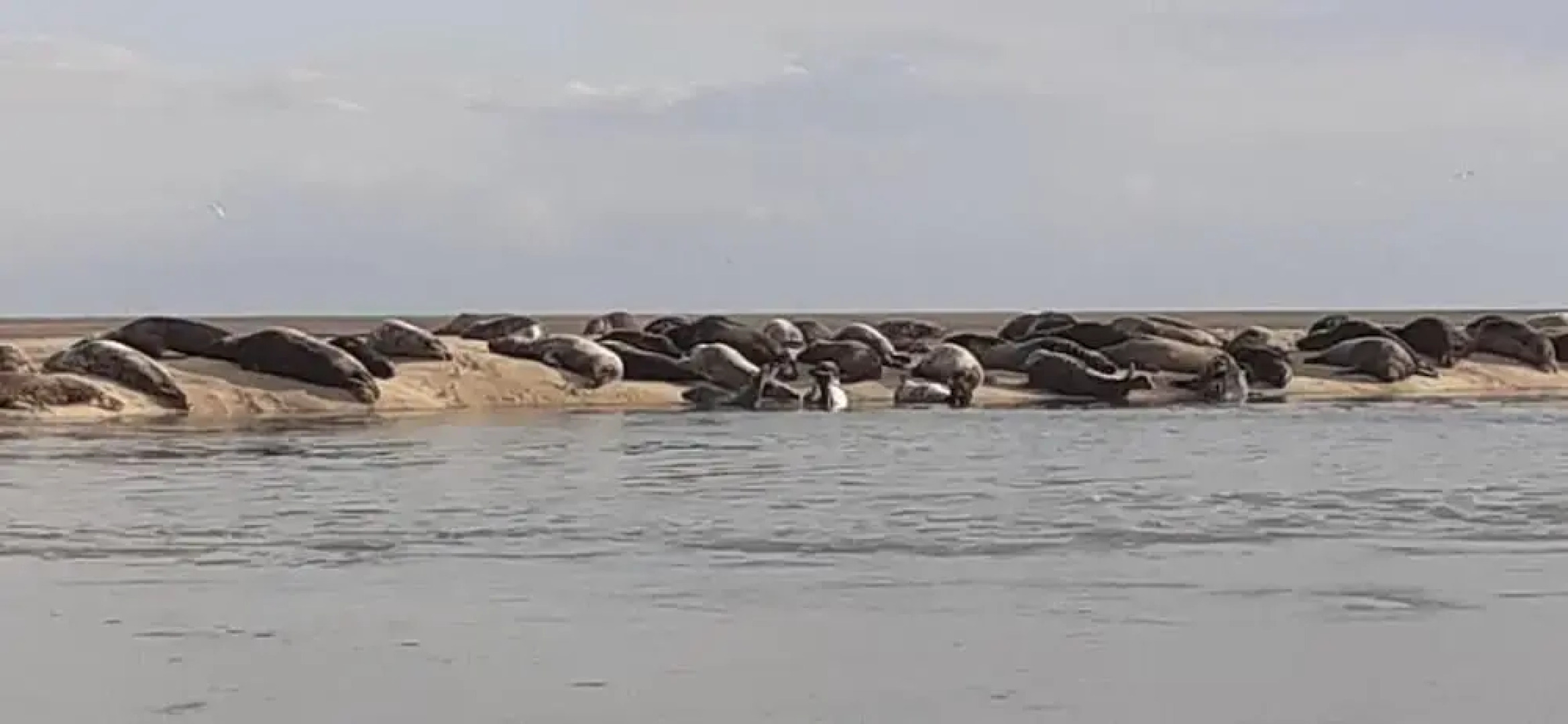 A la bonne franquette