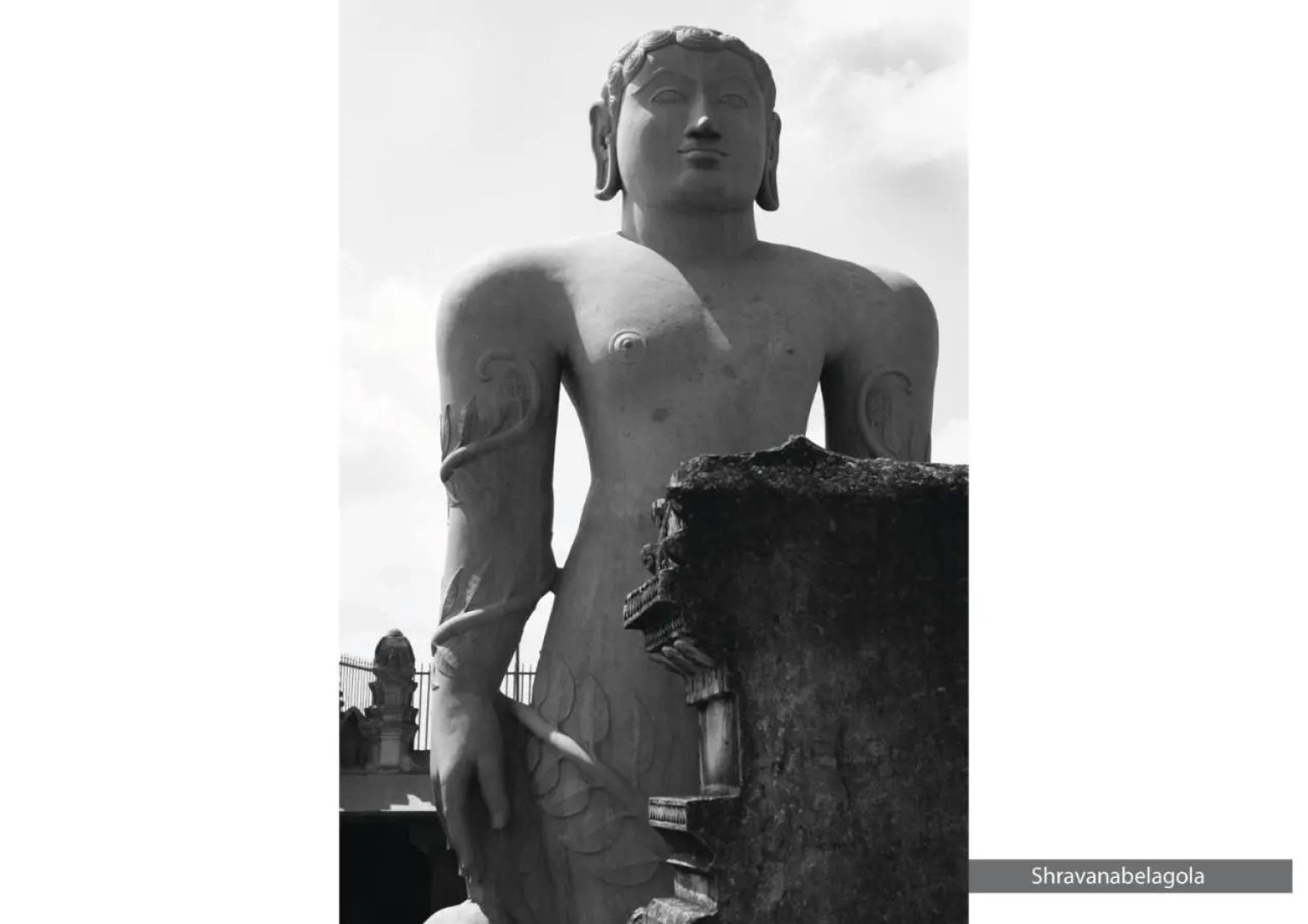 The Serai Chikmagalur