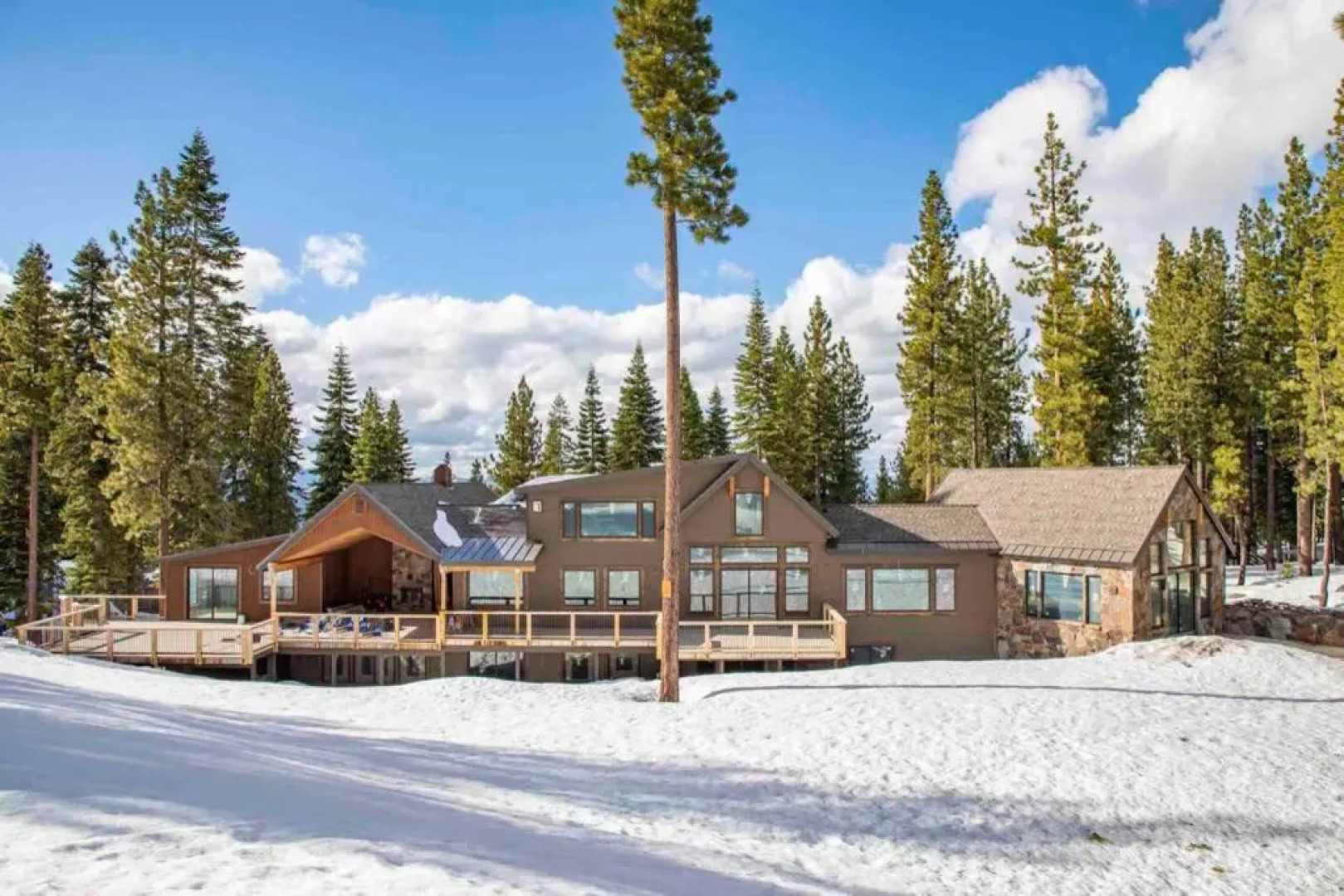 Blue Mountain Majesty