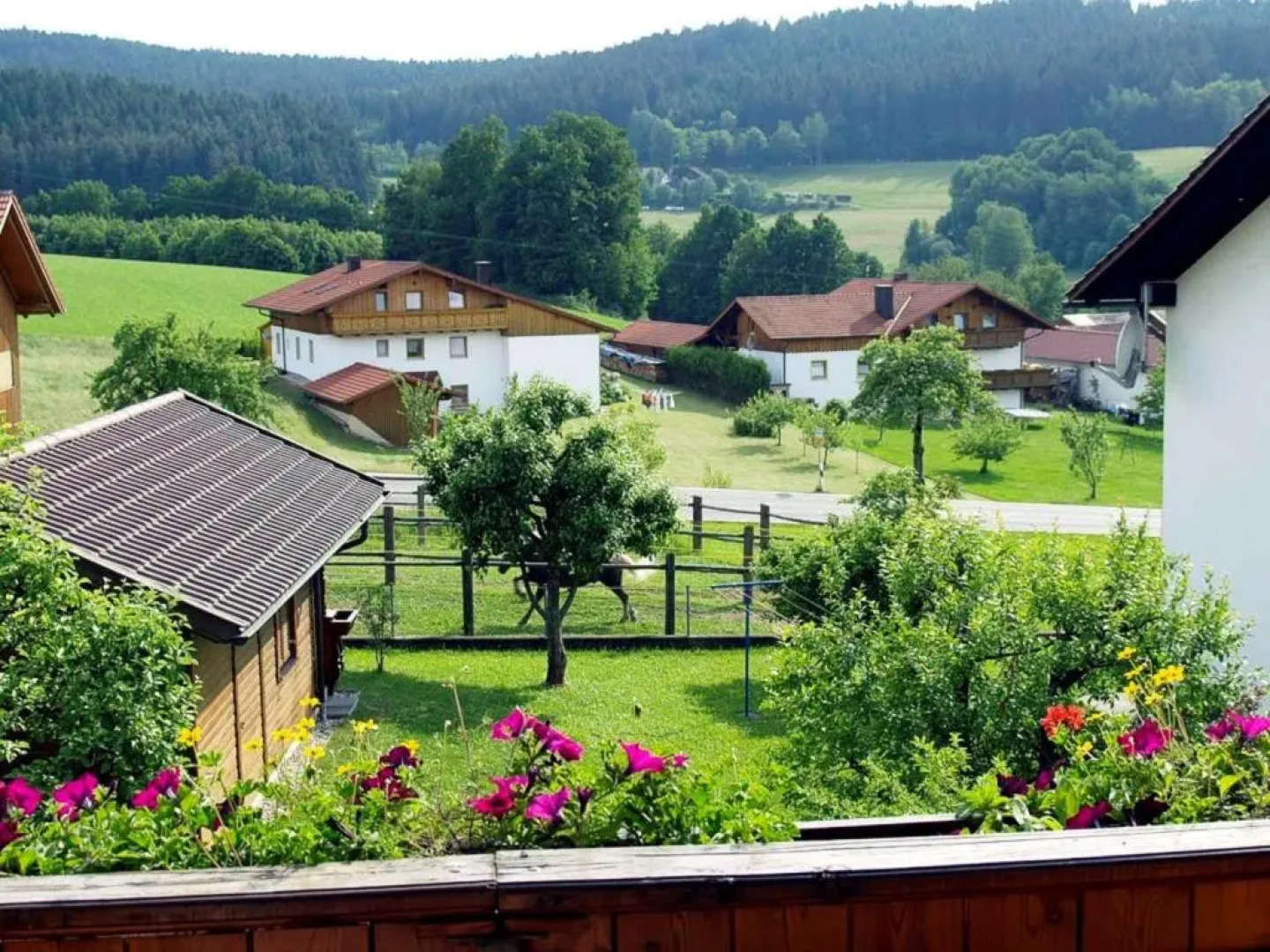 Ferienwohnung Fischer