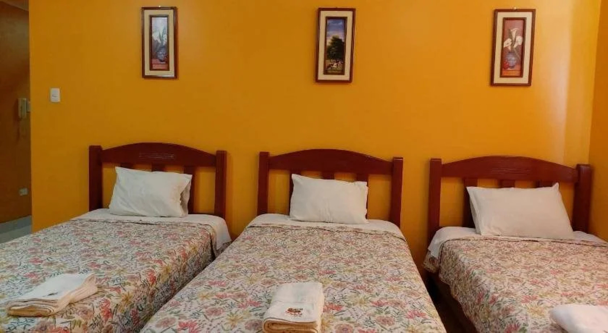 Hotel y Restaurante Roma