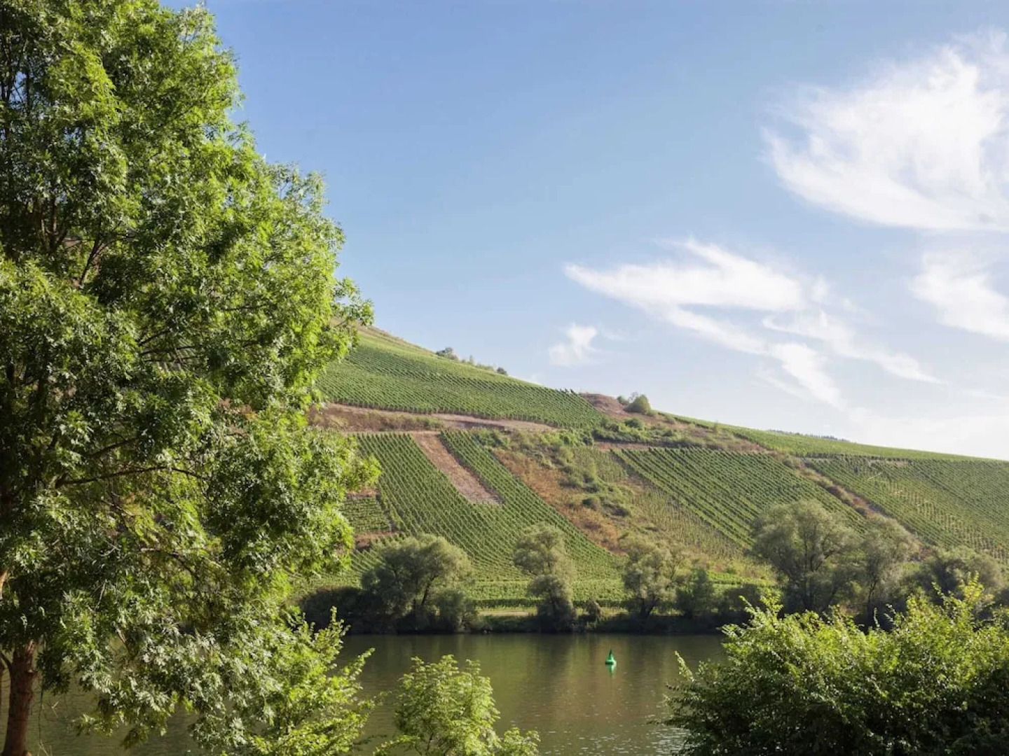 Spacious Holiday Home in Briedel Near River Mosel
