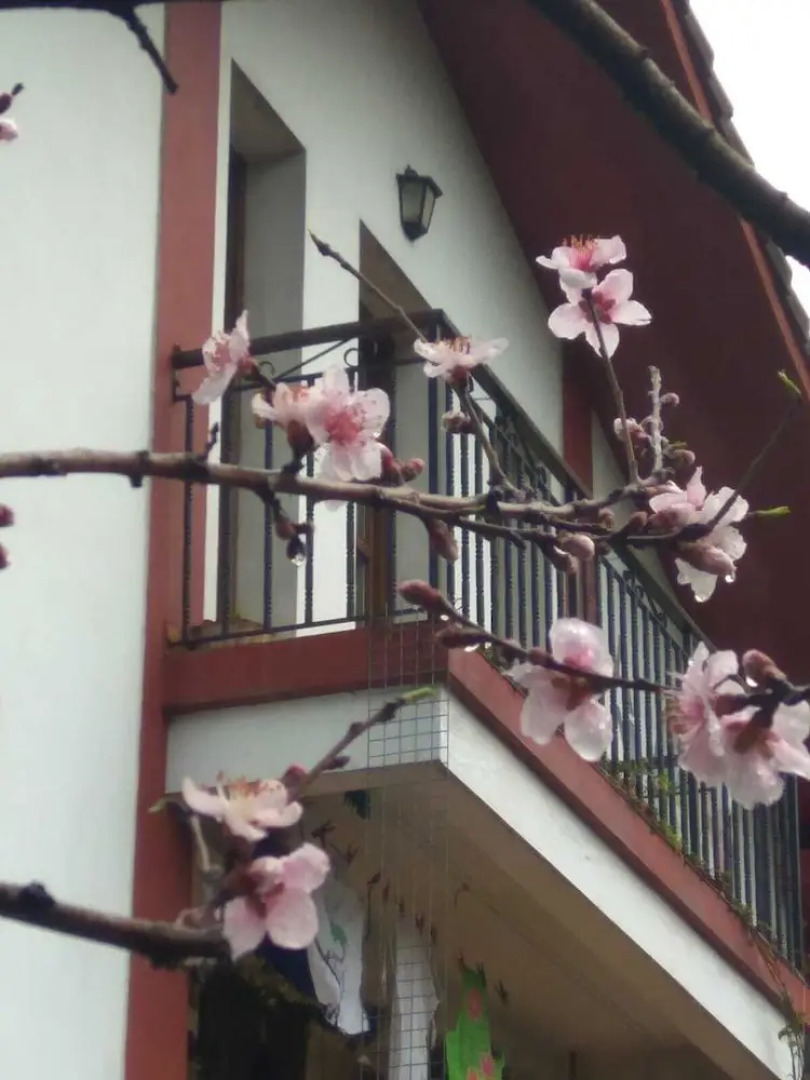 Hotel Barco San Sebastián