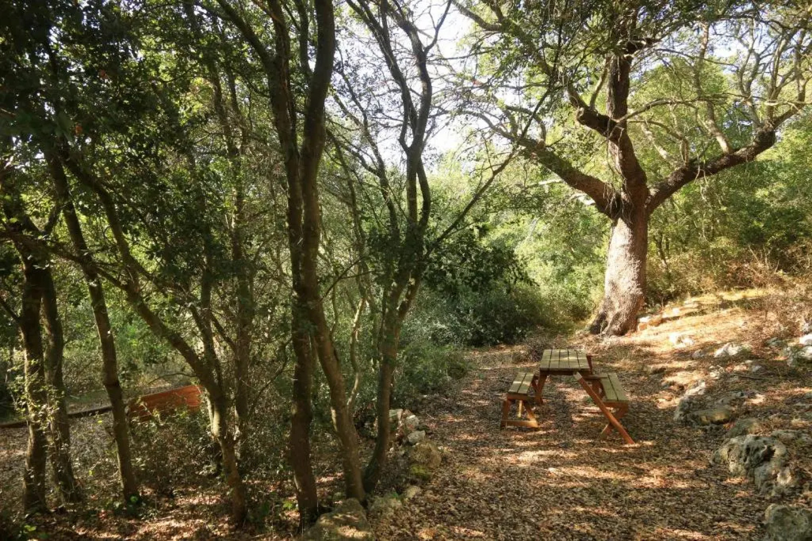 Antica Masseria Pescu