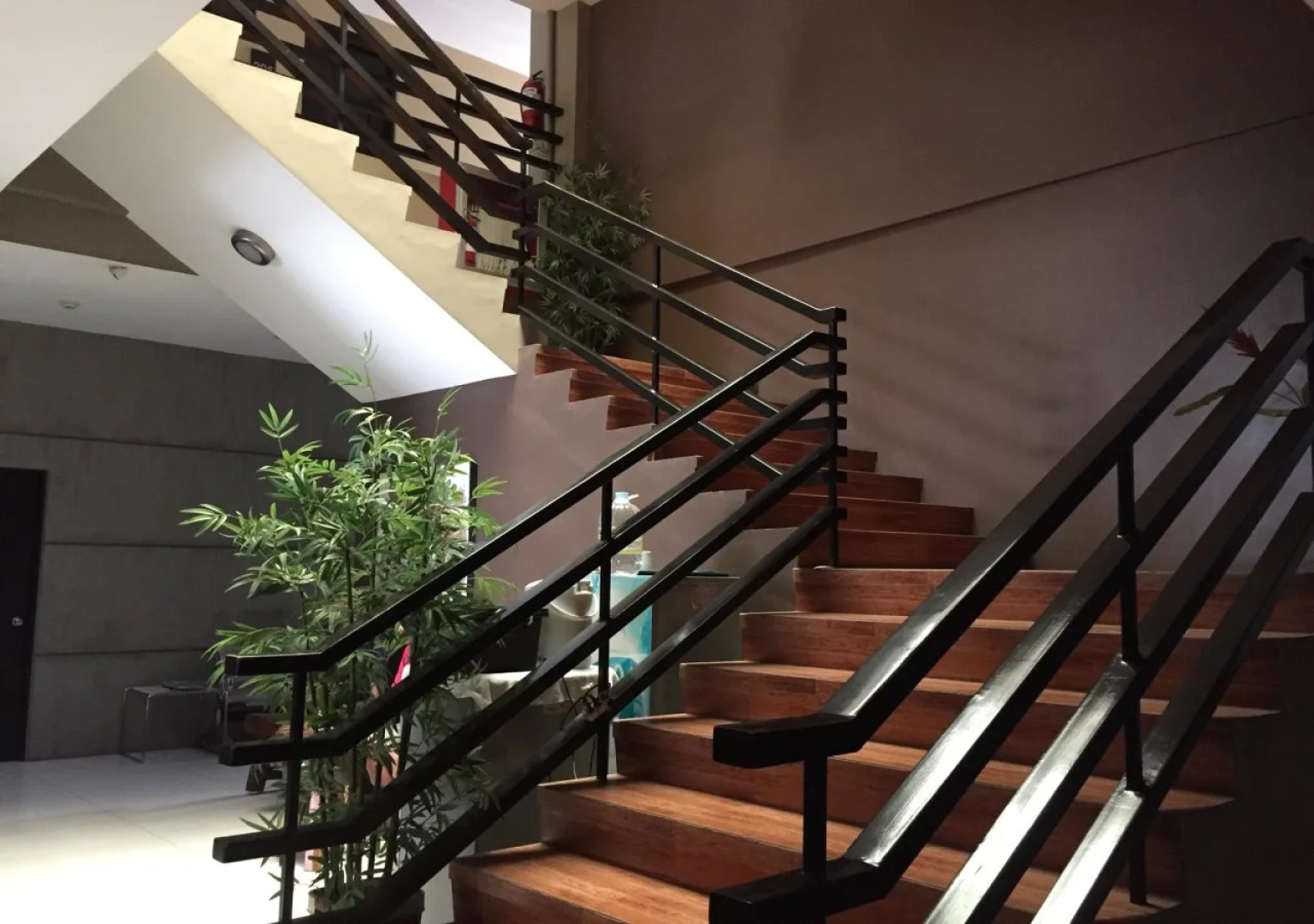 North Zen Basic Spaces