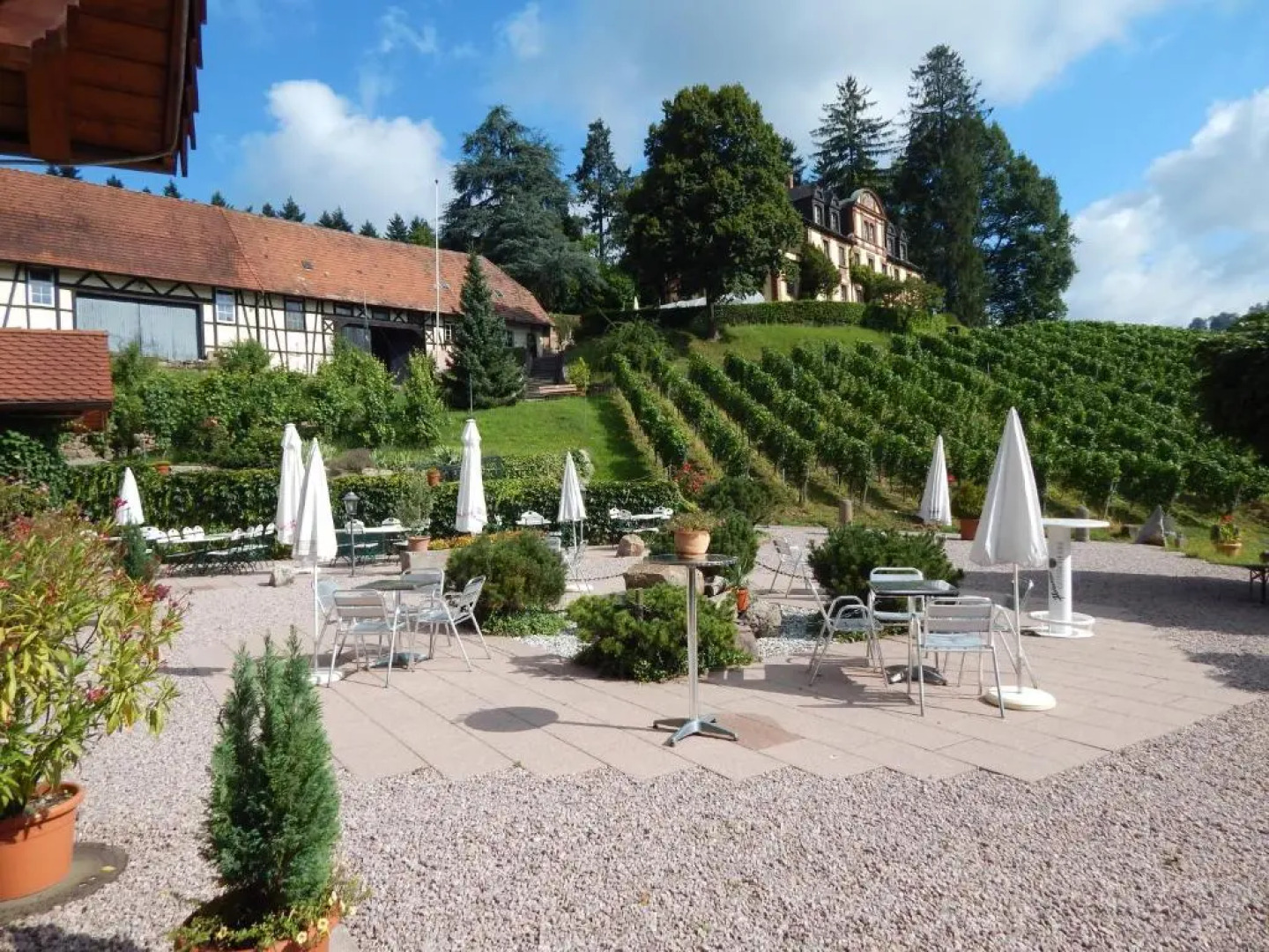 Wein Lodge Durbach - Josephsberg 2