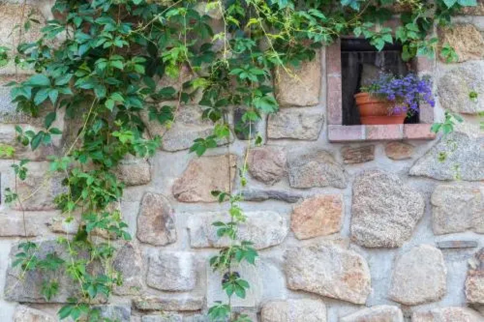 Rožmberk Royale Pension