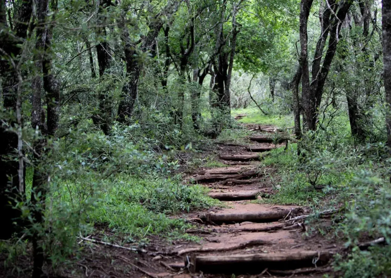 Royal Thonga Safari Lodge