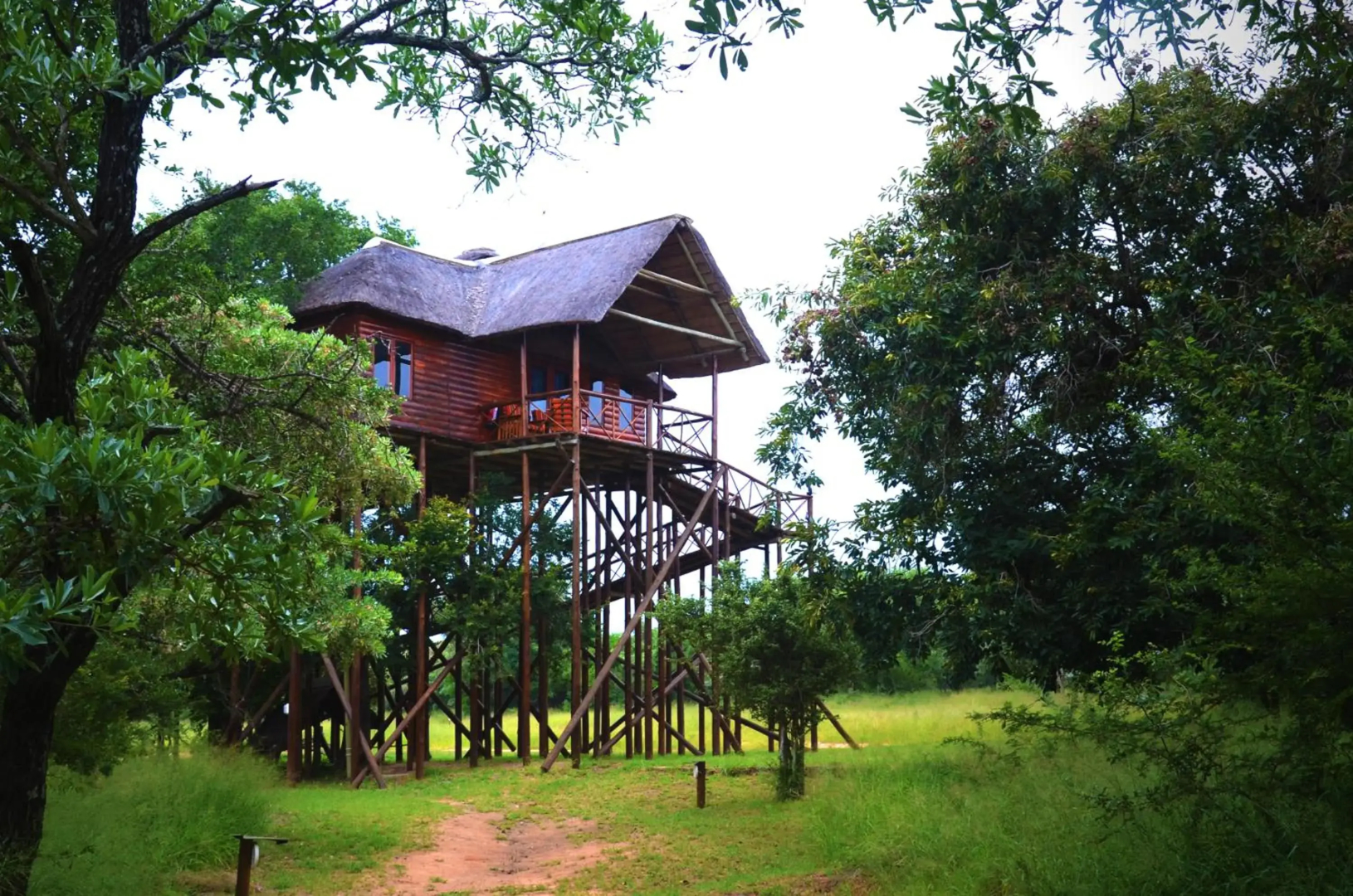 Pezulu Tree House Lodge
