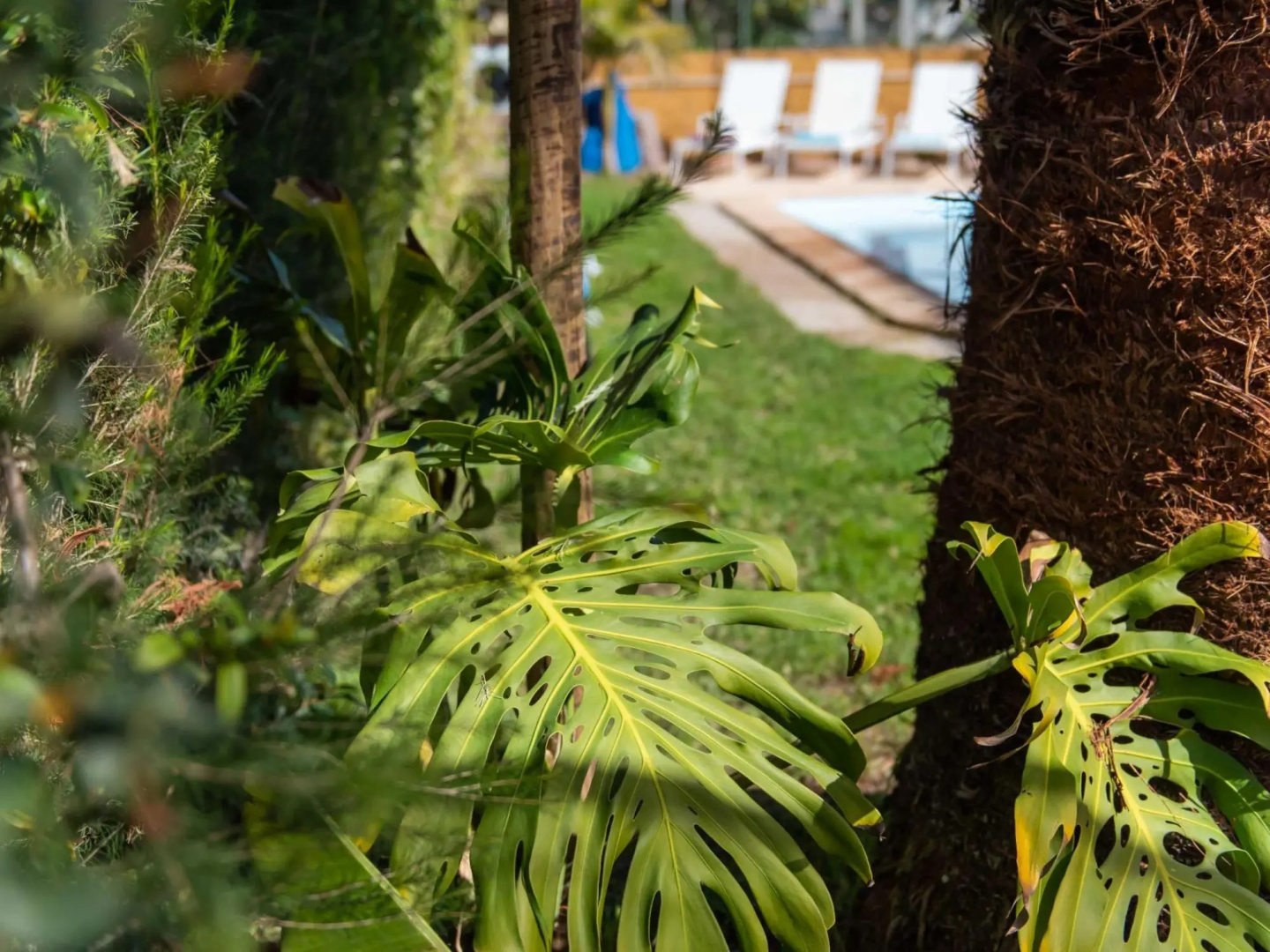 Lvpremier LA1 Heated Pool Jacuzzi AC Garden