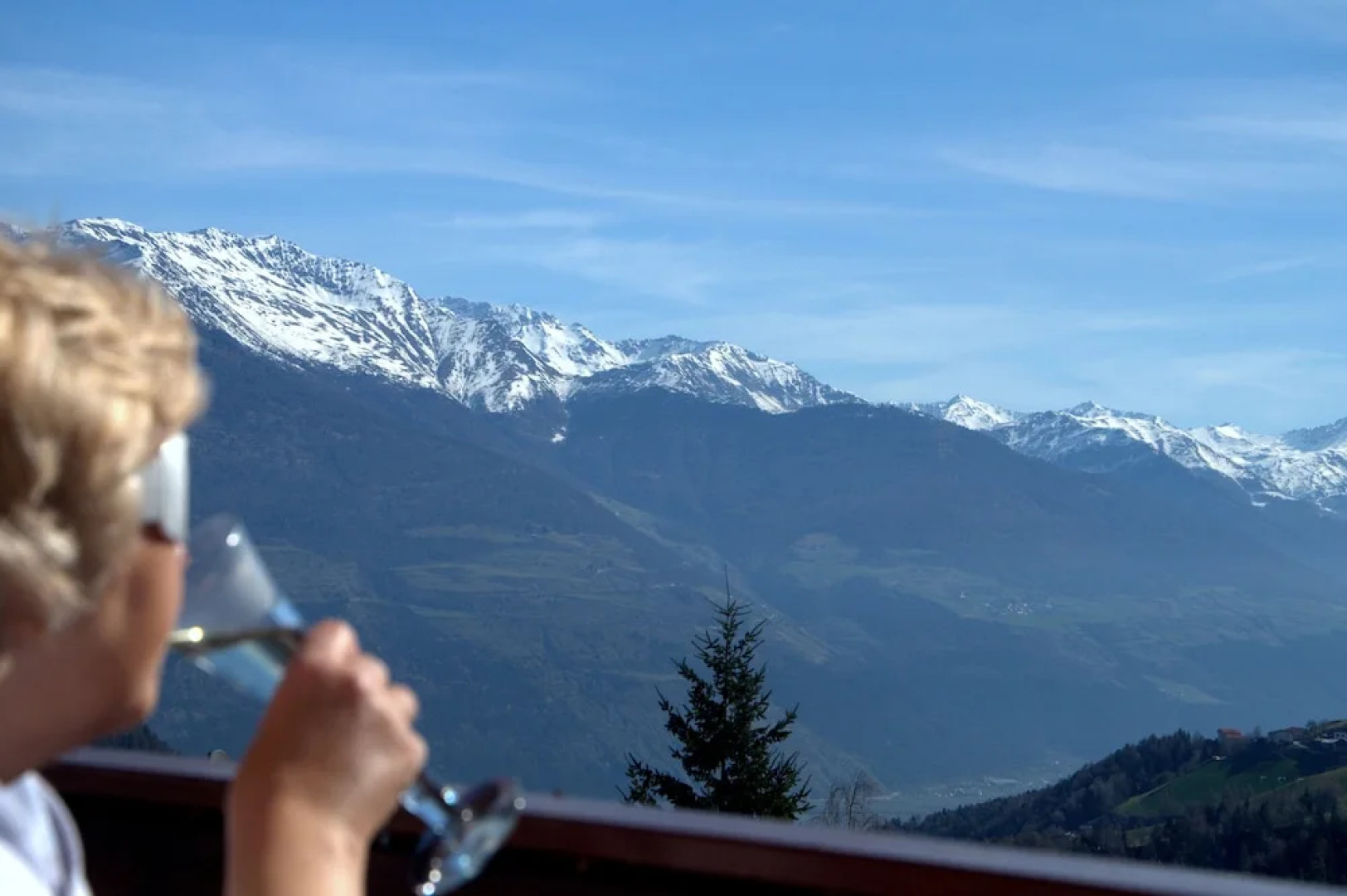 Hotel Traube – Stelvio