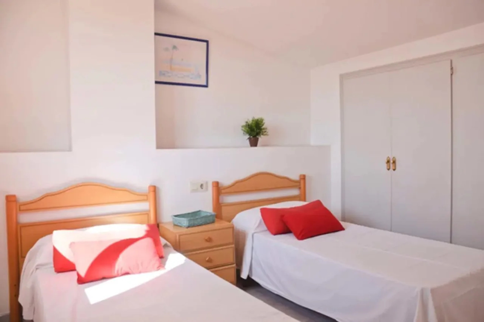 RVApartaments Els Salats