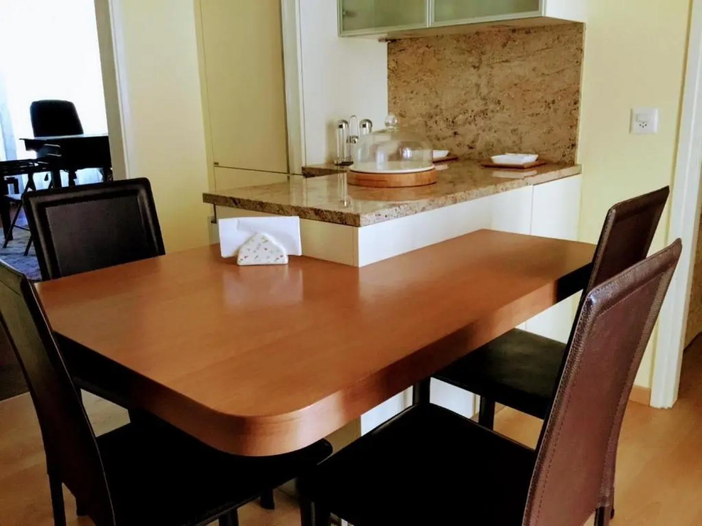 Central lakefront apartment