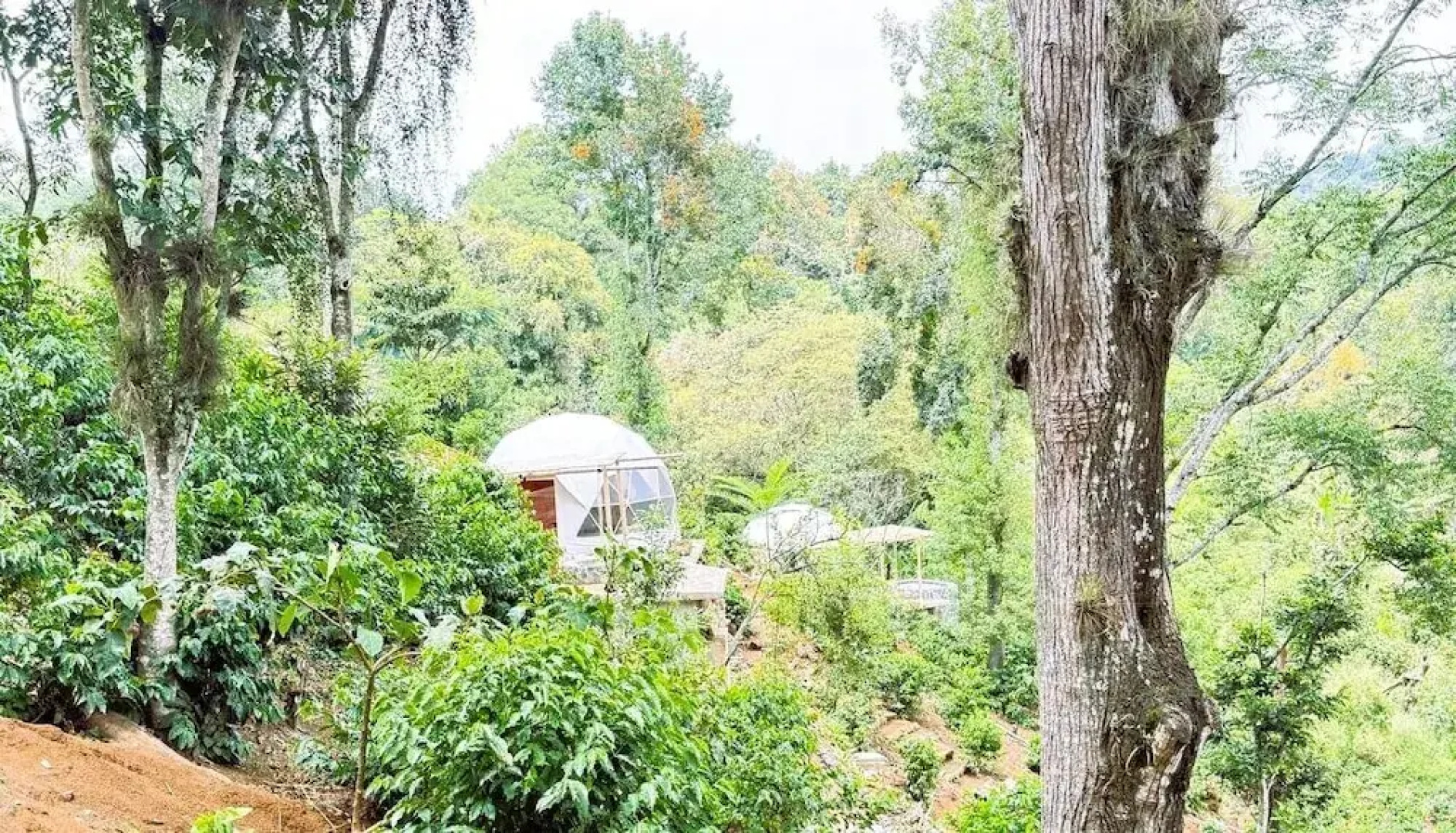 Alma Glamping
