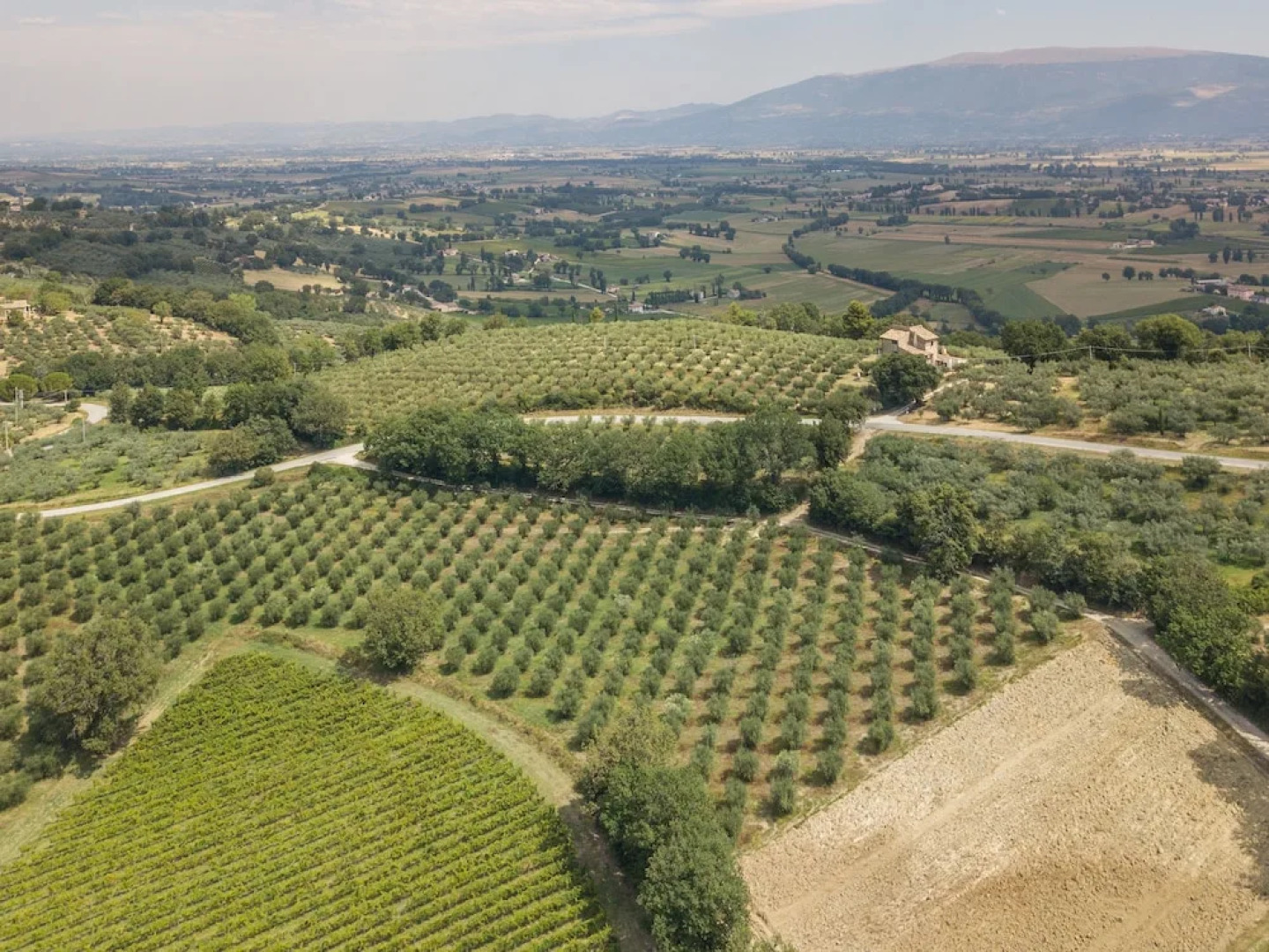 Maestà delle Quattro Chiavi