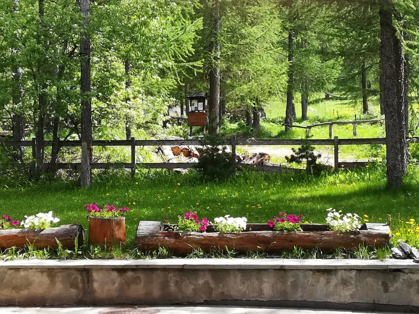 Guesthouse Chalet di Montagna