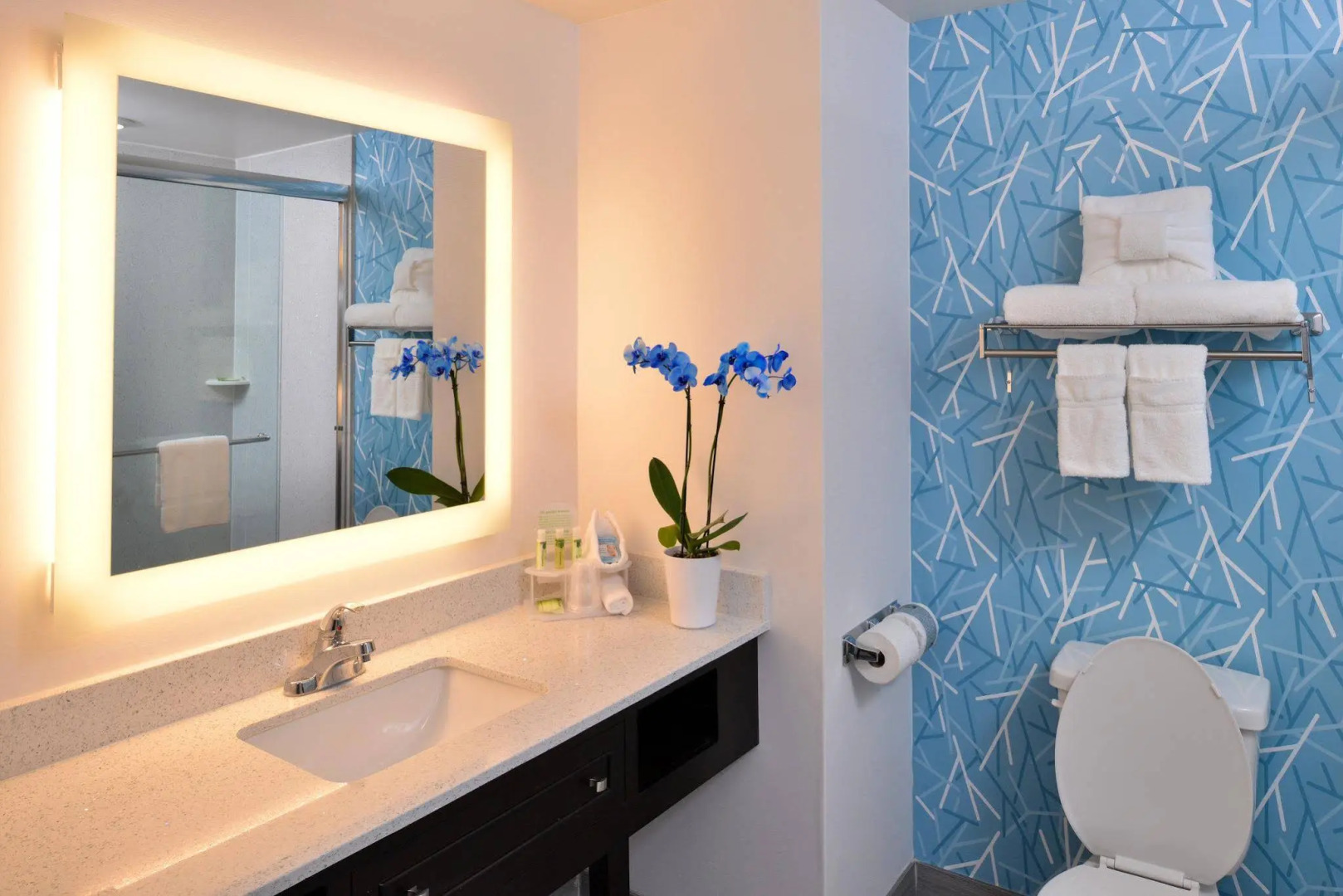 Holiday Inn Express & Suites West Ocean City by IHG