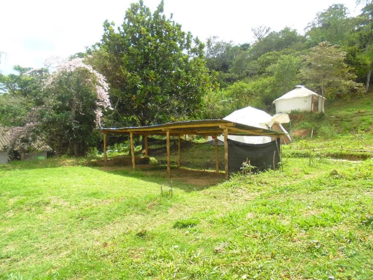 La Pacha Hostel