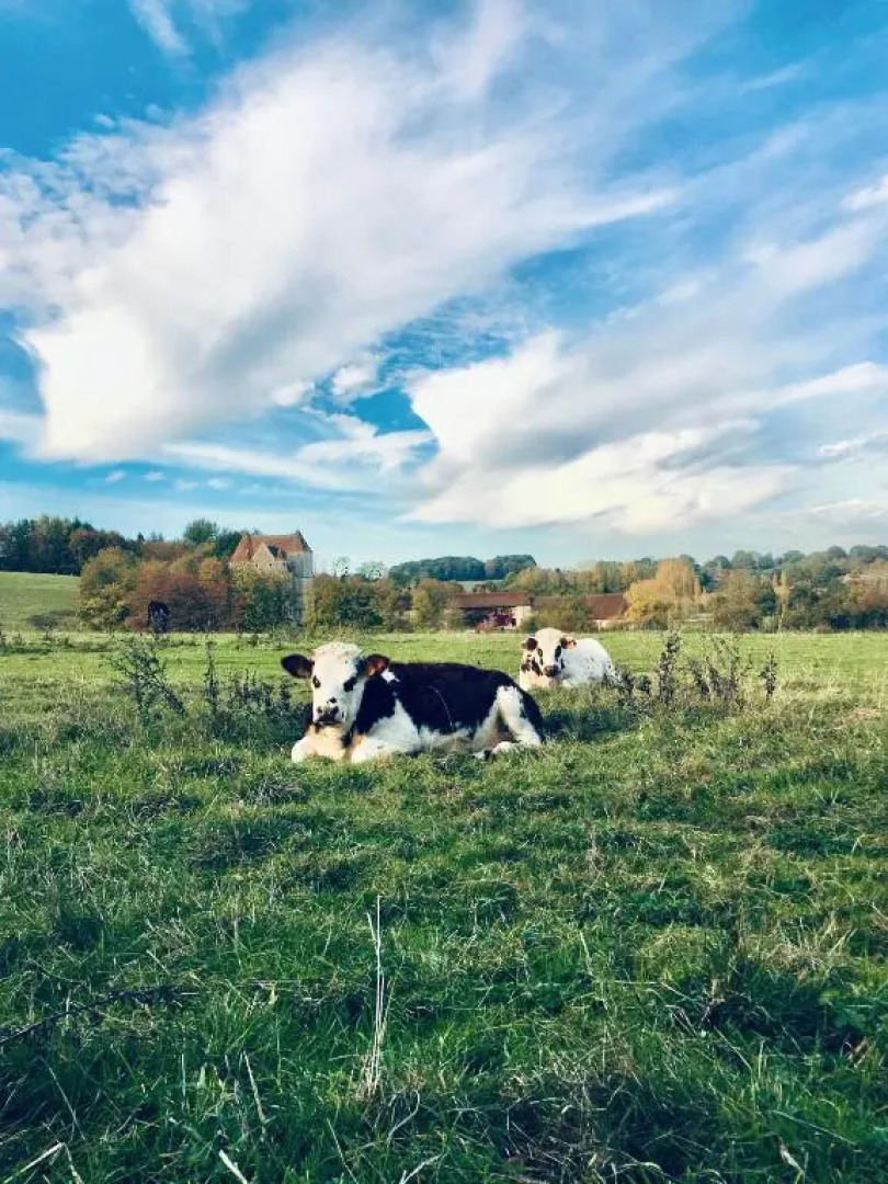 La Clef Des Champs 61