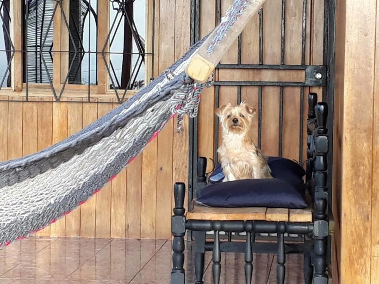 Little Paradise Hostel