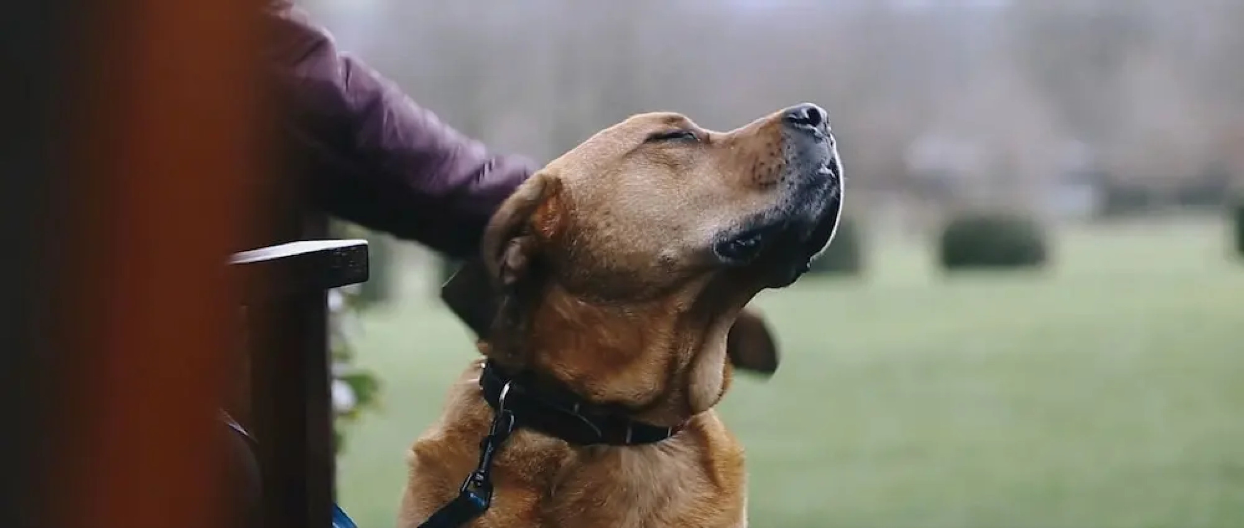 The Devonshire Arms Country House Hotel & Spa