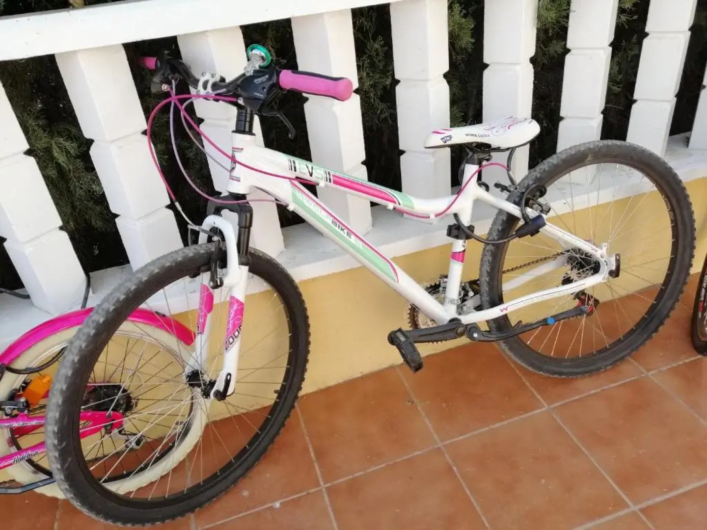 Luxurious house in La Marina at El Pinet beach