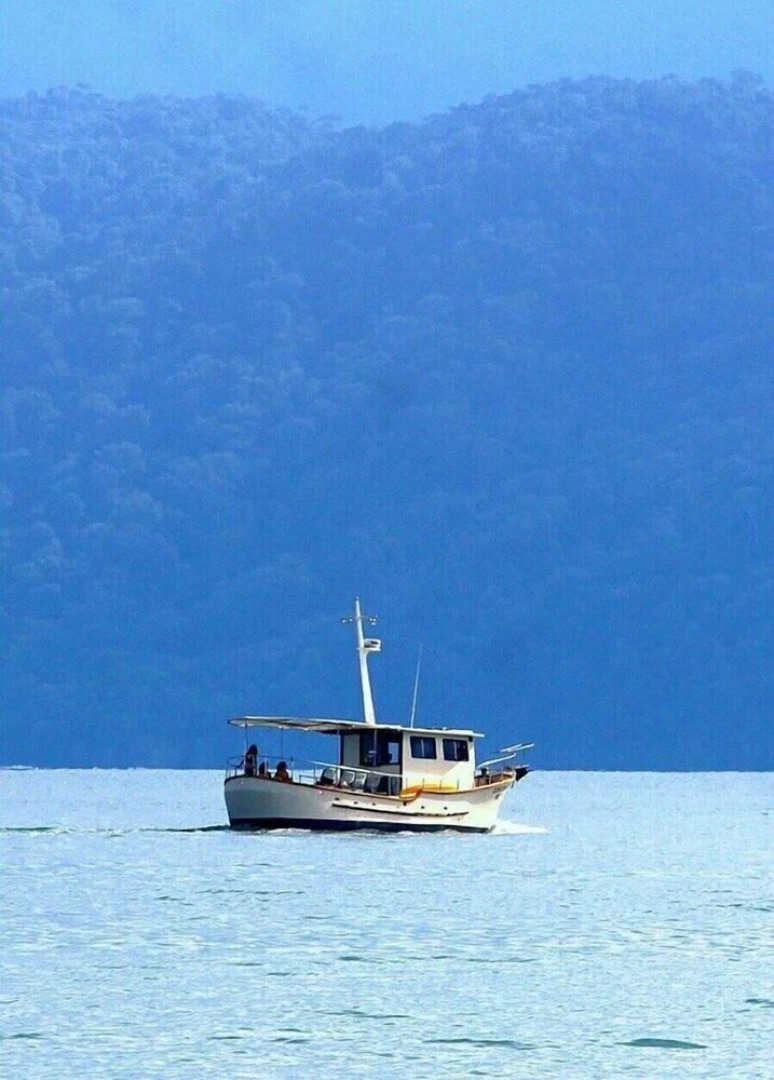 Corcovado Beach Lodge