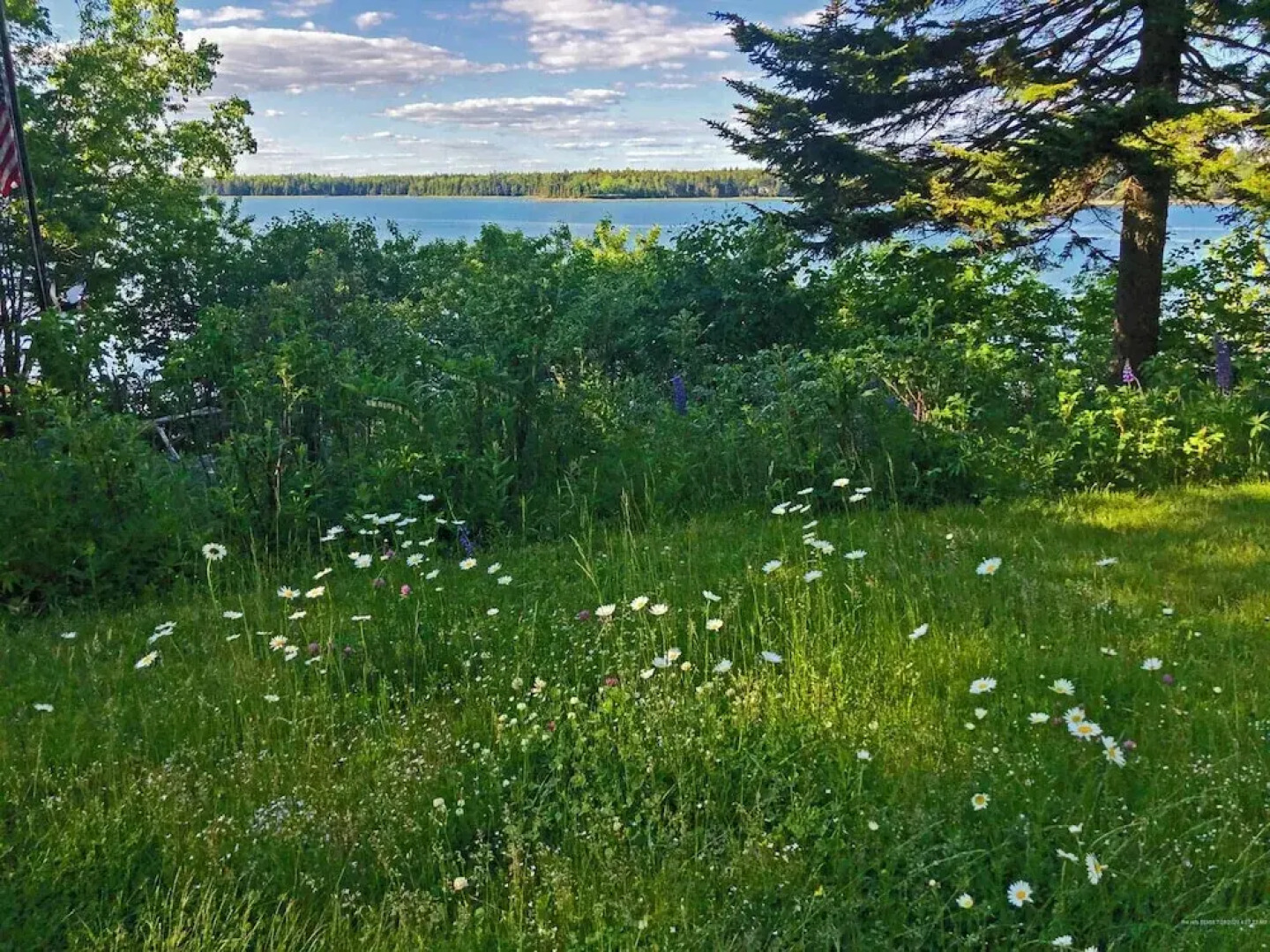 Puffin Rock - New 2022!