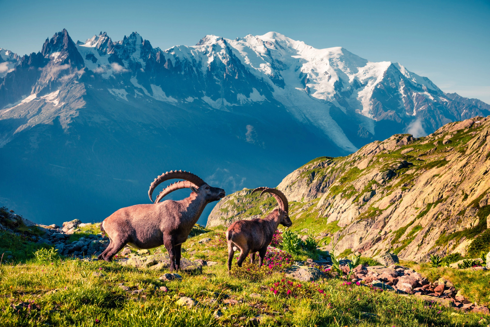 Appartement La Sauvageonne